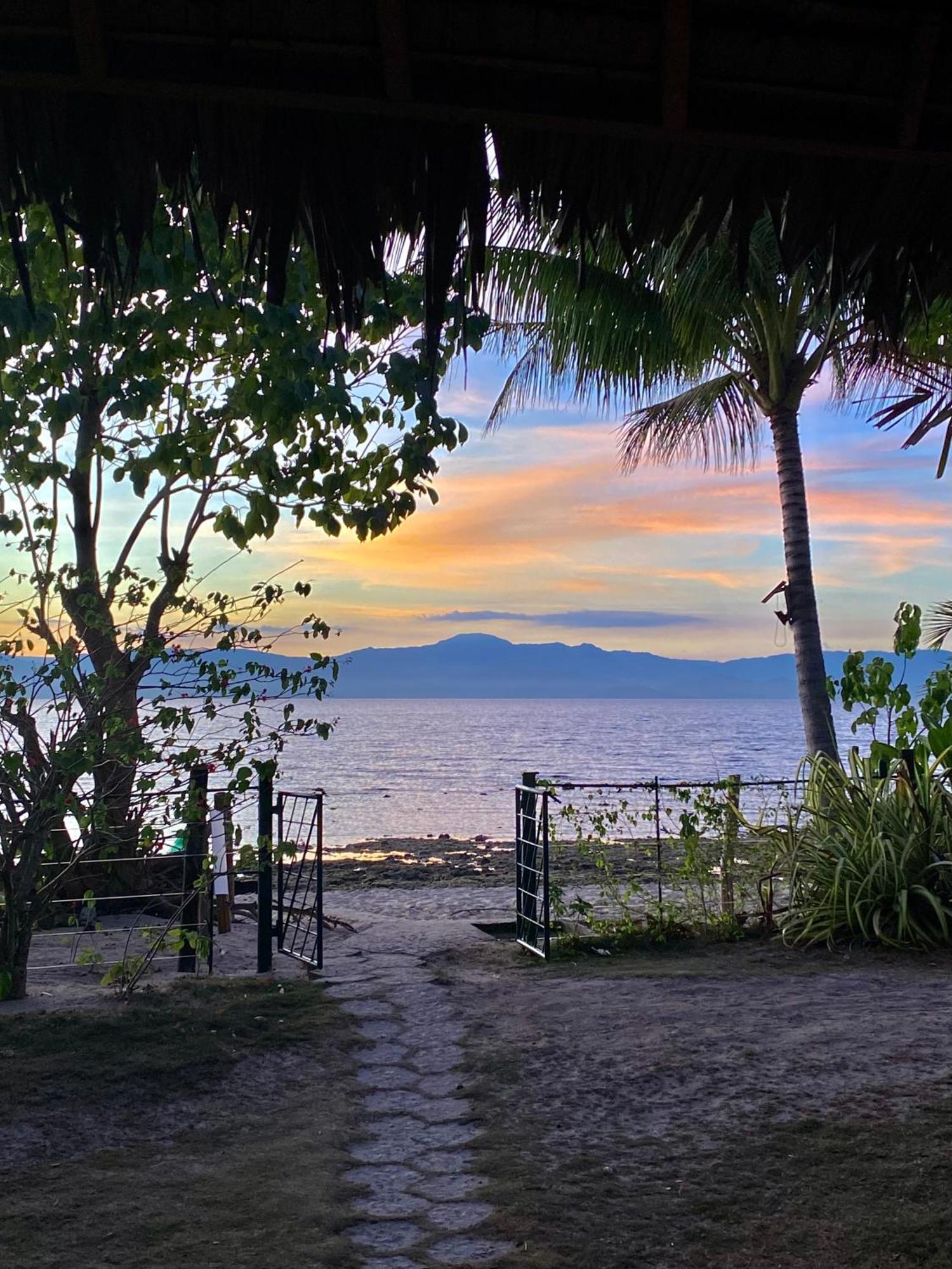 Ravenala Beach Bungalows Moalboal Exterior foto